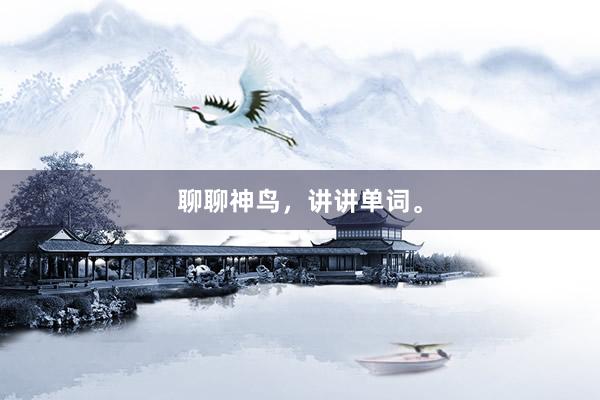聊聊神鸟，讲讲单词。