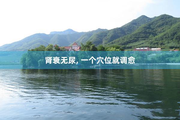 肾衰无尿, 一个穴位就调愈
