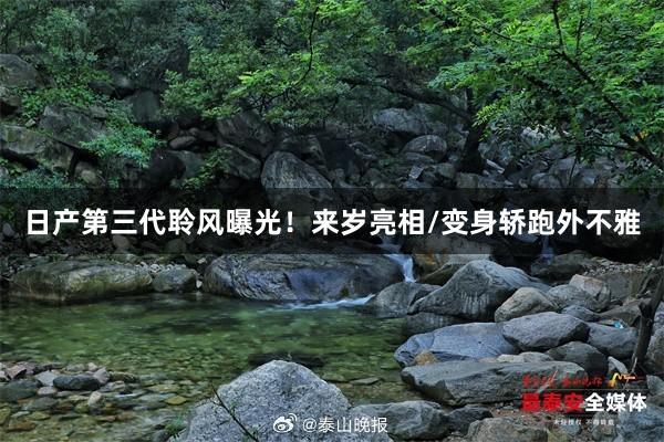 日产第三代聆风曝光！来岁亮相/变身轿跑外不雅