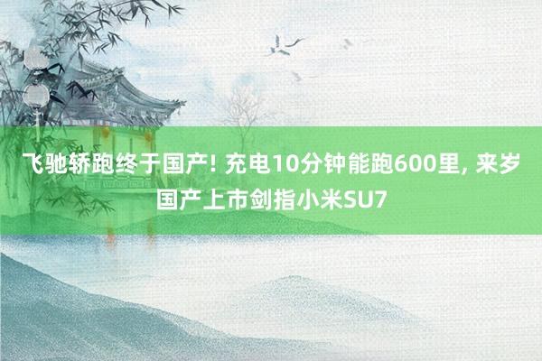 飞驰轿跑终于国产! 充电10分钟能跑600里, 来岁国产上市剑指小米SU7