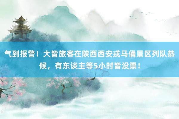 气到报警！大皆旅客在陕西西安戎马俑景区列队恭候，有东谈主等5小时皆没票！