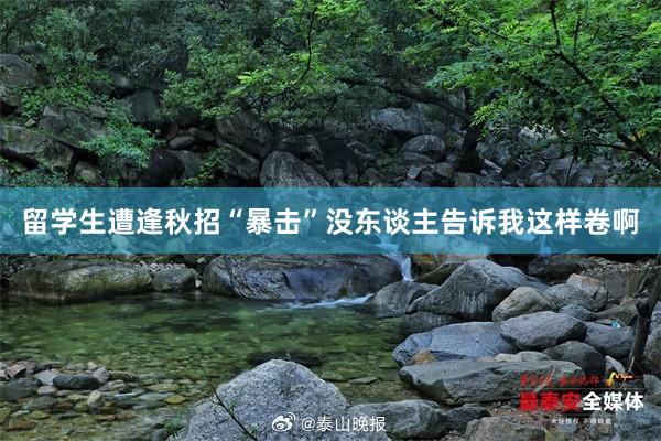 留学生遭逢秋招“暴击”没东谈主告诉我这样卷啊