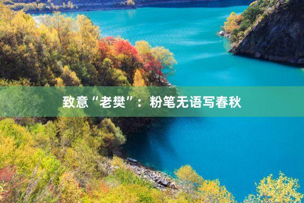 致意“老樊”：粉笔无语写春秋