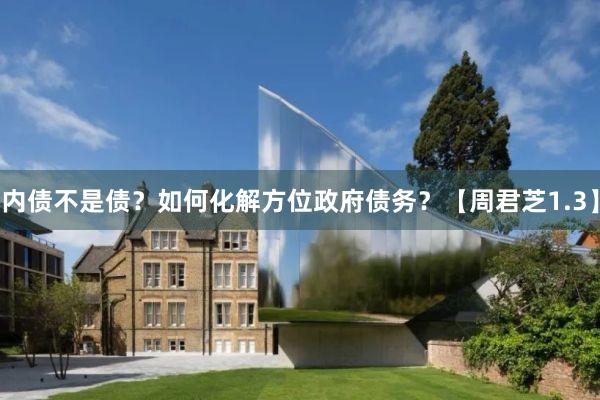 内债不是债？如何化解方位政府债务？【周君芝1.3】