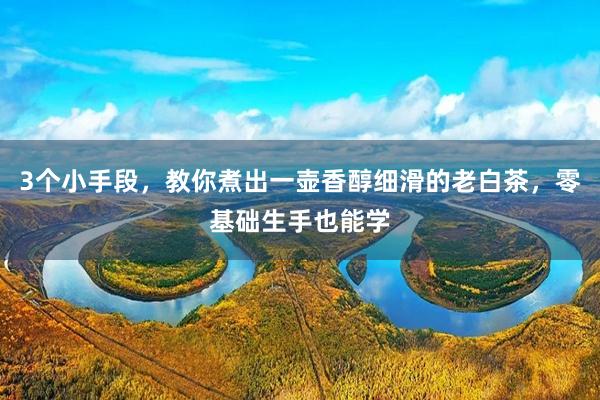 3个小手段，教你煮出一壶香醇细滑的老白茶，零基础生手也能学